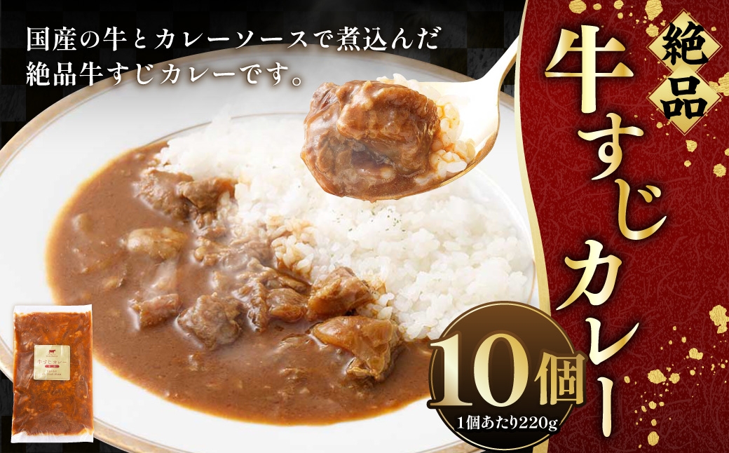 絶品牛すじカレー 10個入（220g×10個） すじ肉 煮込み 中辛 レトルト カレー 牛すじカレー 絶品 お肉 にく 肉 ニク 牛肉 牛 冷凍 カレーソース 国産