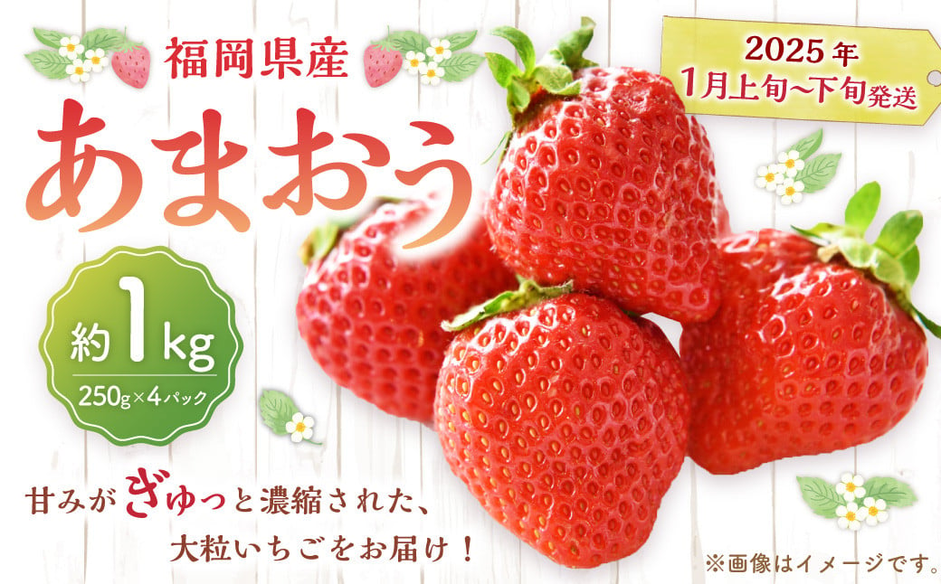 福岡県産 あまおう 1000g （250g × 4パック） 苺 イチゴ いちご 大粒 果物 フルーツ 福岡 福岡県 【2025年1月上旬～下旬発送予定】