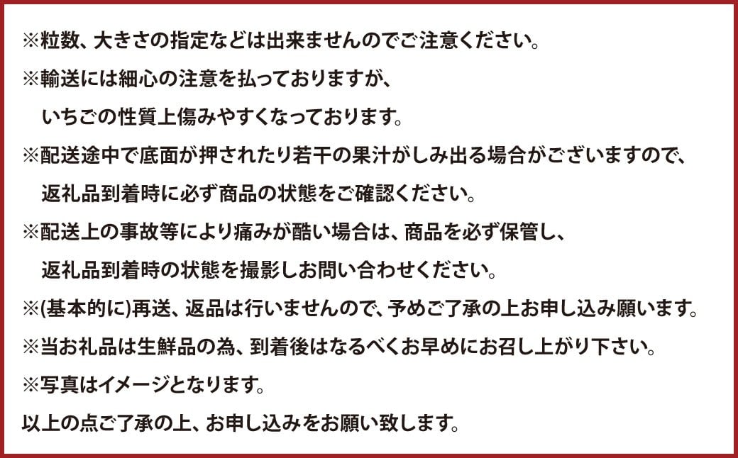 大粒あまおう 約250～270g × 2パック （合計 ： 約500～540g） 【2026年2月上旬～4月上旬発送予定】 あまおう いちご イチゴ 苺 果物 くだもの フルーツ 福岡県産 国産 福岡県 遠賀町 冷蔵