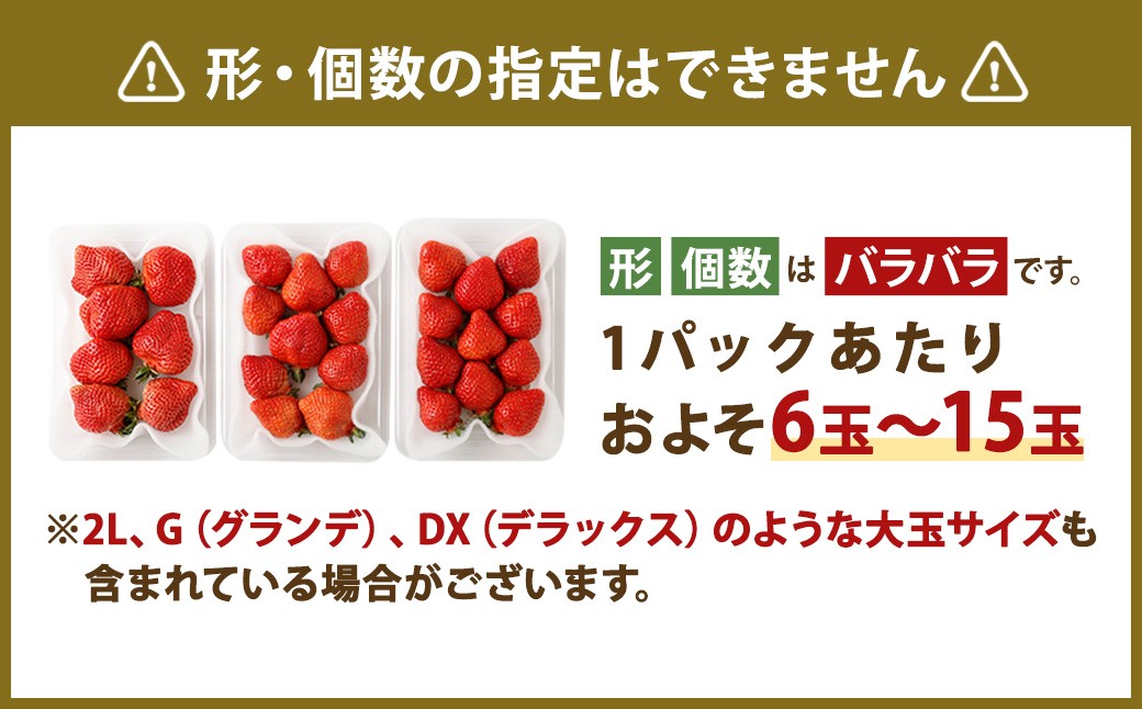 【数量限定】 福岡県産 あまおう 計540g 270g × 2パック 【2027年2月上旬～4月上旬発送予定】 苺 イチゴ いちご 果物 フルーツ 果実 国産 アフター保証 アフター対応 福岡県 遠賀町 冷蔵