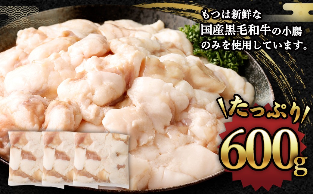 国産牛もつ鍋6人前 ちゃんぽん 濃縮スープ付（醤油味） 合計：1150g もつ 鍋 ホルモン 国産牛小腸