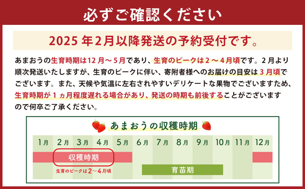 【アフター保障対応】数量限定 福岡県産 あまおう 270g×4パック【2025年2月上旬～4月上旬発送予定】