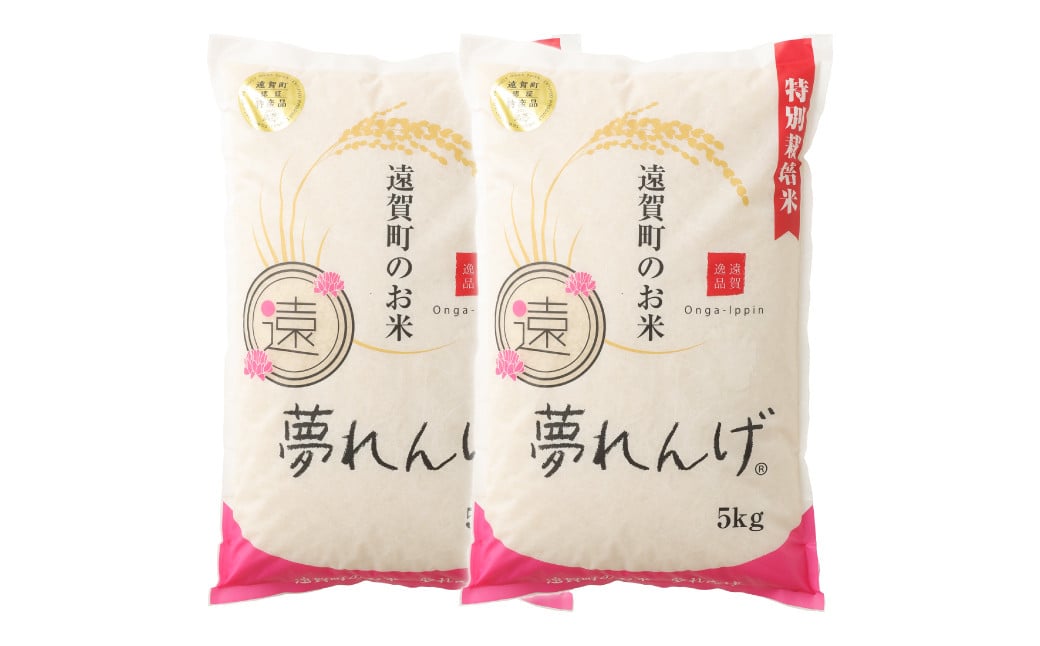 【令和6年産】 特別栽培米  夢れんげ  10kg (5kg×2袋) お米 精米 米 コメ 【2024年10月下旬発送開始】