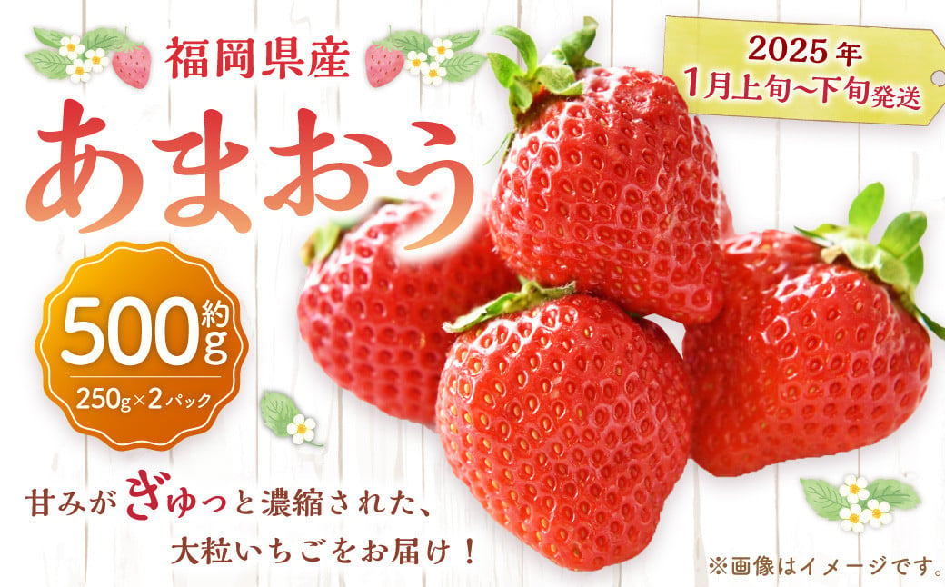 福岡県産 あまおう 500g （ 250g × 2パック ） 苺 イチゴ いちご 大粒 果物 フルーツ 福岡 福岡県 【2025年1月上旬～1月下旬発送予定】