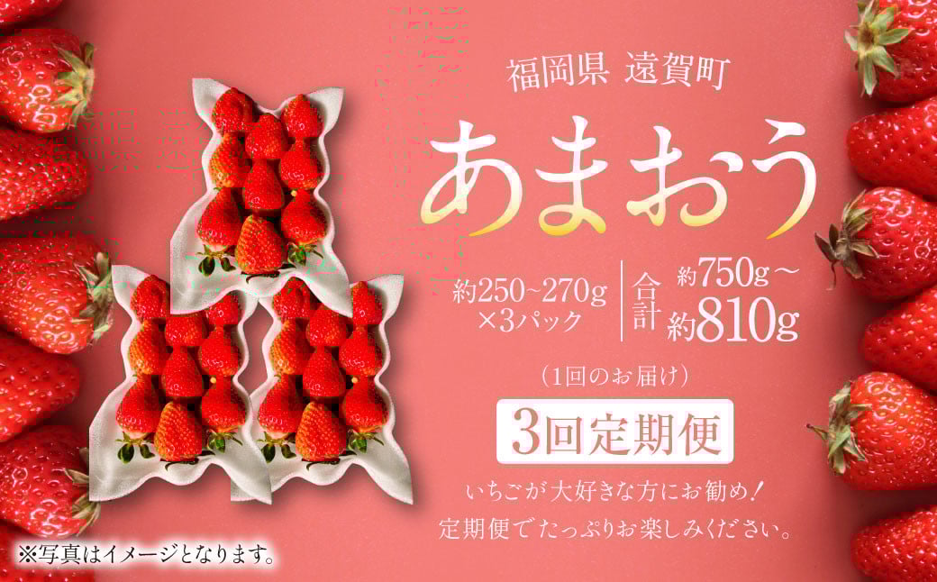【3回定期便】あまおう 3パック 計約750～810g  ×3回 あまおう いちご イチゴ 苺 果物 くだもの フルーツ 定期便【2026年1月下旬～4月下旬発送予定】