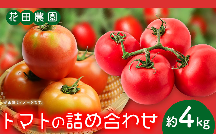 トマト2種の詰め合わせセット 約4kg 花田農園《6月上旬-7月末頃出荷》野菜 トマト 送料無料 福岡県 鞍手町