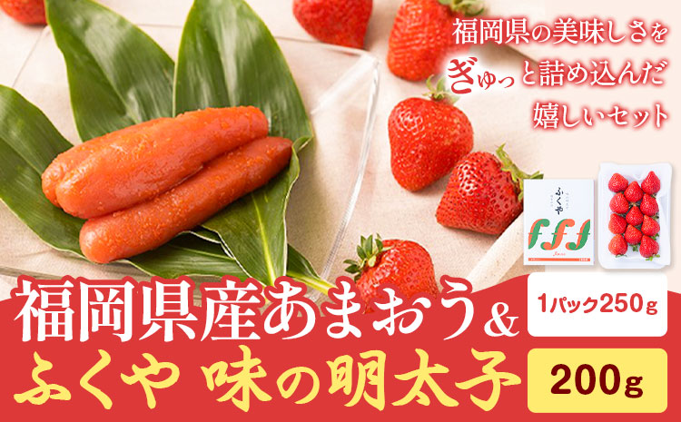 福岡県産あまおう & ふくや味の明太子 200g 南国フルーツ株式会社《12月上旬-3月末頃出荷》福岡県 鞍手町 あまおう いちご めんたいこ 明太子 セット 送料無料