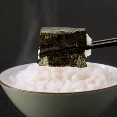 海苔 のり 焼海苔 訳あり 有明海産 焼のり 計100枚 (2切10枚×10袋) 送料無料 パリパリ 有明海産《30日以内に出荷予定(土日祝除く)》ご飯のお供 福岡県 鞍手郡 鞍手町 送料無料