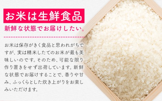 縲12繝カ譛亥ョ壽悄萓ソ縲大、「縺、縺上@ 莉、蜥7蟷エ逕」 20kg 逋ス邀ウ 縲翫♀逕ウ霎シ縺ソ鄙梧怦縺九i蜃コ闕キ縲九♀邀ウ 縺斐ッ繧 縺秘」ッ rice kome