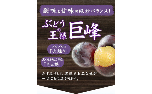 蟾ィ蟲ー繧オ繧、繝繝シ 250mlテ12譛ャ縲30譌・莉・蜀縺ォ蜃コ闕キ莠亥ョ(蝨滓律逾晞勁縺)縲九カ縺ゥ縺 繝輔Ν繝シ繝 繧オ繧、繝繝シ 鬟イ譁