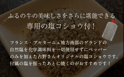 【3ヶ月定期便】ふるの牛（黒毛和牛）特選サーロインステーキ 750g(250g×3枚) ゲランド塩付き A5 有限会社ふるの《お申込み翌月から出荷》 3回お届け 計3回 定期便 2kg以上