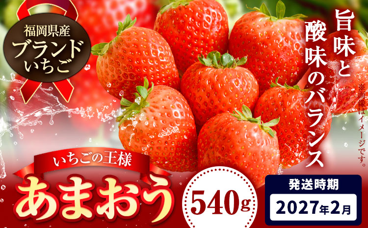 いちご あまおう 先行予約 いちご 大量 540g フルーツ《2027年2月上旬-2月末頃出荷》苺 旬 くだもの 果物 福岡県 鞍手町【配送不可地域あり】