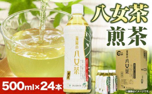 八女茶 煎茶ペットボトル 500ml×24本 株式会社親和園《30日以内に出荷予定(土日祝除く)》 お茶 緑茶 茶 八女茶 ペットボトル