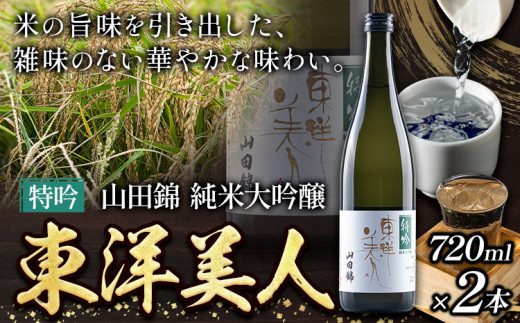 日本酒 東洋美人 特吟 山田錦 純米大吟醸 2本 計1440ml 1本あたり 720ml 福岡吟醸倶楽部株式会社《30日以内に出荷予定(土日祝除く)》福岡県 鞍手郡 鞍手町 酒 冷酒 送料無料