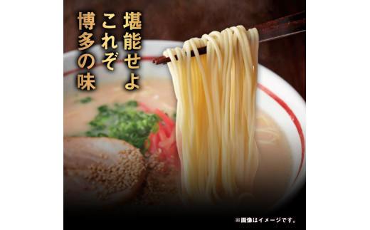 博多ラーメン 14人前 株式会社フーデリジェンス《30日以内に出荷予定(土日祝除く)》 ラーメン