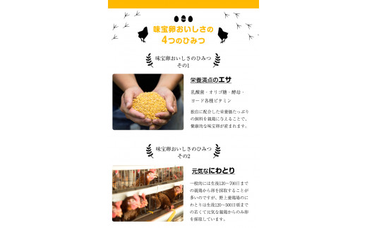 【定期便】計3回お届け 朝獲れ卵 味宝卵 (計90個) 30個×3回お届け 卵 Lサイズ 鶏卵 《お申込み翌月から出荷》福岡 卵 Lサイズ 鶏卵
