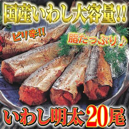 ピリ辛 いわし明太 20尾入り 株式会社マル五 《30日以内に出荷予定(土日祝除く)》20尾 鰯 いわし イワシ 明太子 めんたいこ ピリ辛 冷凍