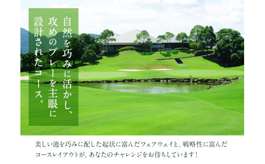 繝繝シ繝ウ繝ャ繧、繧ッ繧エ繝ォ繝輔け繝ゥ繝夜檮謇九さ繝シ繧ケ 繧エ繝ォ繝募エ蜑イ蠑募虻 3000蜀蛻 縲30譌・莉・蜀縺ォ蜃コ闕キ莠亥ョ(蝨滓律逾晞勁縺)縲