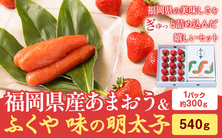 福岡県産あまおうギフト箱 & ふくや味の明太子 540g 南国フルーツ株式会社《12月上旬-3月末頃出荷》福岡県 鞍手町 あまおう いちご めんたいこ 明太子 セット 送料無料