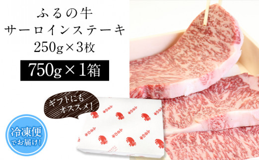 【3ヶ月定期便】ふるの牛（黒毛和牛）特選サーロインステーキ 750g(250g×3枚) ゲランド塩付き A5 有限会社ふるの《お申込み翌月から出荷》 3回お届け 計3回 定期便 2kg以上