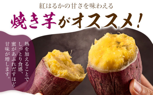 蜴ウ驕ク 邏縺ッ繧九° 5kg 縺励g縺縺溯セイ蝨偵12譛井ク頑流-3譛域忰鬆蜃コ闕キ縲狗ヲ丞イ。逵 髷肴焔逕コ 邏縺ッ繧九° 縺輔▽縺セ縺繧 闃 縺繧 繧、繝「 繧オ繝繝槭う繝「