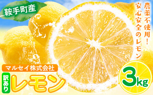 レモン 訳あり 3kg 株式会社まるせい農園《11月上旬-1月末頃出荷》レモン フルーツ スイーツ くだもの 果物 レモン果汁 ふるさと納税 福岡県 鞍手町