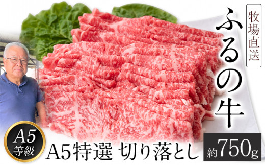 ふるの牛（黒毛和牛）Ａ５特選 切り落とし 750g A5 ミシュラン掲載《30日以内に出荷予定(土日祝除く)》