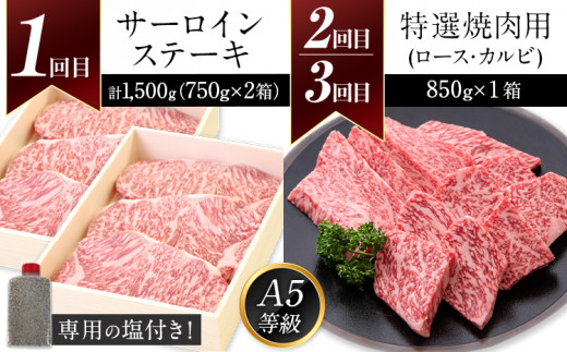 鞍手町 ふるの牛 頒布会 計5kg以上 全6回《お申込み翌月から出荷》ふるの牛 サーロインステーキ 特選焼き肉用 ロース カルビ すき焼き しゃぶしゃぶ ロース サーロインブロック 焼肉 焼肉用 定期便 頒布会 3ヶ月定期便