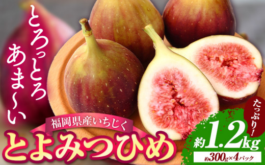 【☆2026年出荷☆】いちじく産 ブランド いちじく とよみつひめ 約1.2kg (約300g×4パック) 【配送不可地域あり】【日付指定不可】 《8月中旬-9月末頃出荷(土日祝除く)》 いちじく イチジク 果物 フルーツ