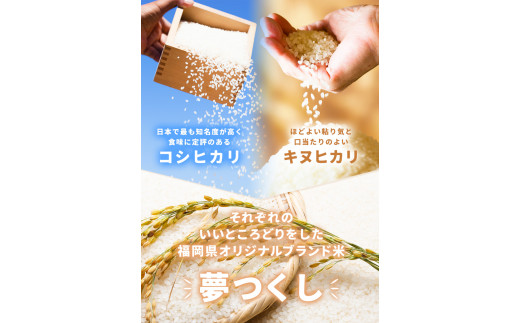 令和7年度産 夢つくし パックご飯 48パック 24パック×2箱《30日以内に出荷予定(土日祝除く)》米 コメ 精米 ゆめつくし パックごはん 便利 アウトドア 非常食 電子レンジ調理 湯せん調理 鞍手郡