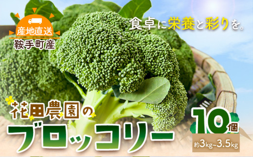 ブロッコリー 花田農園 の ブロッコリー 10個 花田農園 《11月下旬-3月末頃出荷》福岡県 鞍手町 ぶろっこりー 野菜 ブロッコリー 産地直送 送料無料