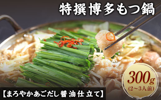 特撰博多もつ鍋 【まろやかあごだし醤油仕立て】 2〜3人前 300g 《30日以内に出荷予定(土日祝除く)》