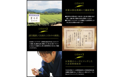 八女茶 煎茶ティーバッグ 計200パック (3g×100パック入り×2袋) 株式会社親和園《30日以内に出荷予定(土日祝除く)》お茶 緑茶 茶 八女星野茶 ティーパック ティーバッグ 八女茶