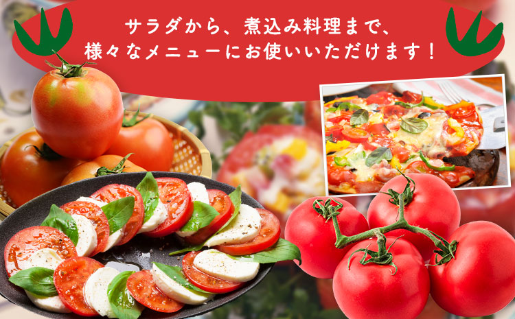 トマト2種の詰め合わせセット 約4kg 花田農園《6月上旬-7月末頃出荷》野菜 トマト 送料無料 福岡県 鞍手町