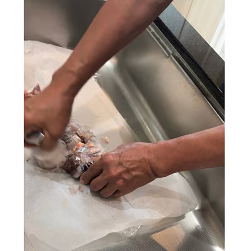 ストレスフリーなBM式うろこ取り《30日以内に出荷予定(土日祝除く)》有限会社BMエンジニアリング 鱗取り うろこ取り 魚 料理 調理器具