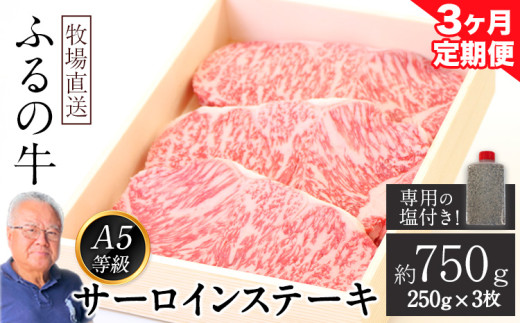 [3ヶ月定期便]ふるの牛(黒毛和牛)特選サーロインステーキ 750g(250g×3枚) ゲランド塩付き A5 有限会社ふるの[お申込み翌月から出荷] 3回お届け 計3回 定期便 2kg以上