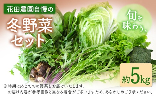 冬野菜セット 約5kg 花田農園《11月下旬-2月末頃出荷》白菜 大根 大葉春菊 里芋 キャベツ 水菜 リーフレタス ブロッコリー ロマネスコ 福岡県 鞍手郡 鞍手町