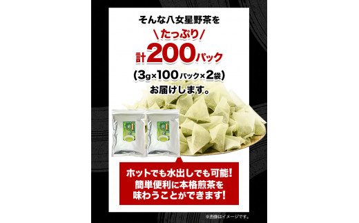 八女茶 煎茶ティーバッグ 計200パック (3g×100パック入り×2袋) 株式会社親和園《30日以内に出荷予定(土日祝除く)》お茶 緑茶 茶 八女星野茶 ティーパック ティーバッグ 八女茶