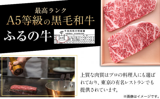 【3ヶ月定期便】ふるの牛（黒毛和牛）特選サーロインステーキ 750g(250g×3枚) ゲランド塩付き A5 有限会社ふるの《お申込み翌月から出荷》 3回お届け 計3回 定期便 2kg以上