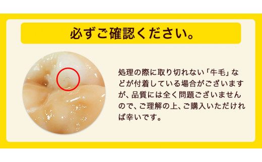 迚ケ謦ー蜊壼、壹b縺、骰 縲舌∪繧阪d縺九≠縺斐□縺鈴、豐ケ莉慕ォ九※縲 4縲5莠コ蜑 500g 縲30譌・莉・蜀縺ォ蜃コ闕キ莠亥ョ(蝨滓律逾晞勁縺)縲