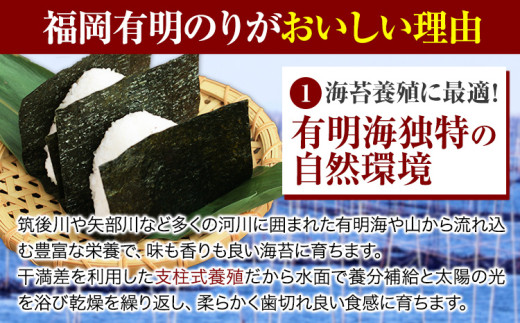 海苔 訳あり 福岡有明のり 簡易包装 福岡産 有明海 全型10枚 送料無料 パリパリ！《30日以内に出荷予定(土日祝除く)》