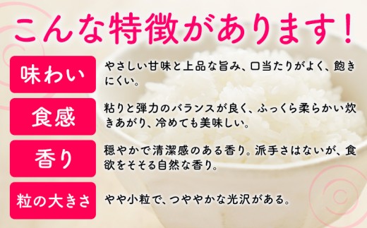 縲12繝カ譛亥ョ壽悄萓ソ縲大、「縺、縺上@ 莉、蜥7蟷エ逕」 20kg 逋ス邀ウ 縲翫♀逕ウ霎シ縺ソ鄙梧怦縺九i蜃コ闕キ縲九♀邀ウ 縺斐ッ繧 縺秘」ッ rice kome