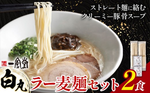 ラーメン 一風堂 白丸 ラー麦麺 セット 2食 地域商社ふるさぽ《90日以内に出荷予定(土日祝除く)》福岡県 鞍手町 ラーメン とんこつ 豚骨スープ 豚骨ラーメン ラー麦 麺