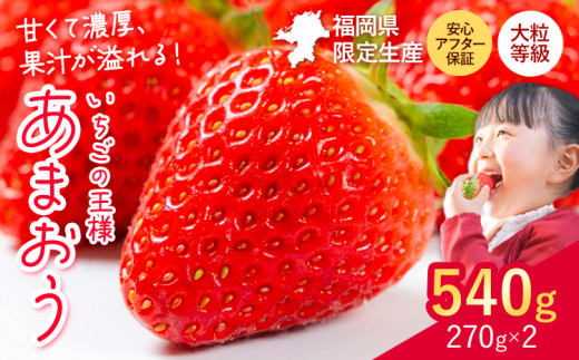 ★2027年出荷分★いちご あまおう 大容量産あまおう 540g 【着日指定不可】《2月中旬-3月中旬頃出荷》 いちご
