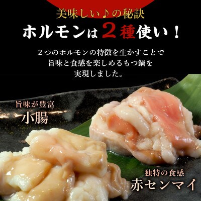 特撰博多もつ鍋 【まろやかあごだし醤油仕立て】 2〜3人前 300g 《30日以内に出荷予定(土日祝除く)》