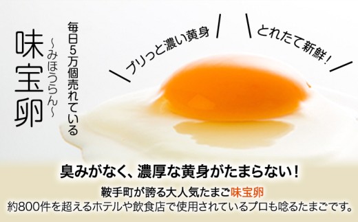 å³å®åµäœ¿çš åµé»ã®ã¿ ããŸãå±ããã®æ¿å ããšããŒãº 300g 2æ¬ éäžé€é¶å Žã60æ¥ä»¥å
ã«åºè·äºå®(忥ç¥é€ã)ãçŠå²¡ç éæçº å³å®åµ åµé» æ¿å ããšããŒãº ããš ãµã©ã ãã£ãã ããŒã¹ã äžèœ èª¿å³æ