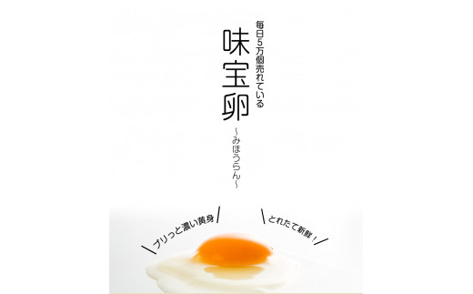 【定期便】計3回お届け 朝獲れ卵 味宝卵 (計90個) 30個×3回お届け 卵 Lサイズ 鶏卵 《お申込み翌月から出荷》福岡 卵 Lサイズ 鶏卵