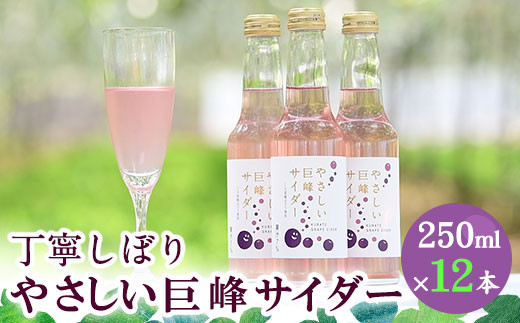 巨峰サイダー 250ml×12本《30日以内に出荷予定(土日祝除く)》ぶどう フルーツ サイダー 飲料