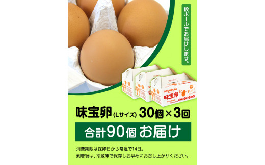 【定期便】計3回お届け 朝獲れ卵 味宝卵 (計90個) 30個×3回お届け 卵 Lサイズ 鶏卵 《お申込み翌月から出荷》福岡 卵 Lサイズ 鶏卵