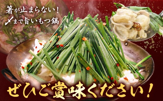 もつ鍋 醤油味 セット ちゃんぽん麺 味味 2〜3人前 地域商社ふるさぽ《90日以内に出荷予定(土日祝除く)》福岡県 鞍手町 もつ 鍋 牛モツ ミックスホルモン 醤油 味味